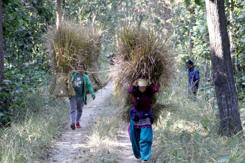 खर खडाइ गर्न अनुमति लिनेको सङ्ख्यामा कमी