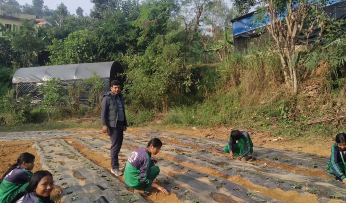 विद्यार्थीलाई आयआर्जनसँग जोड्न स्ट्रबेरी खेती