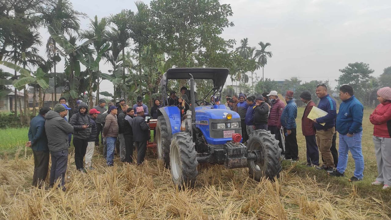 भद्रपुरमा शून्य खनजोतमा मकैखेती