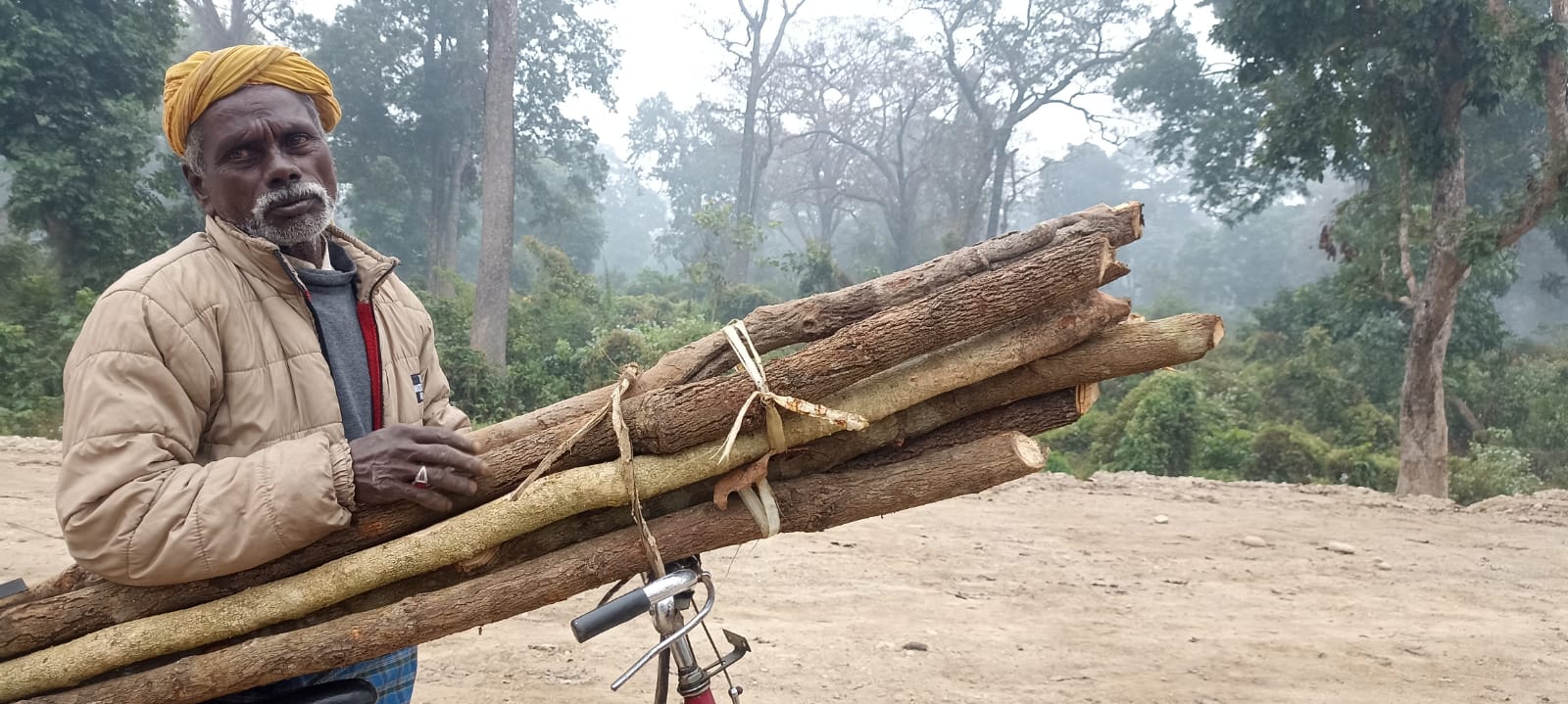 ई-रिक्सामा यात्रु बोक्न छोडेर काँचा दाउरा बोक्नेको लर्को