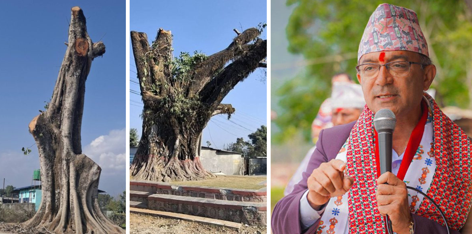 पोखरामा कोटीहोम सञ्चालनका लागि अनुमति दिइएको छैन : पोखरा महानगरपालिका