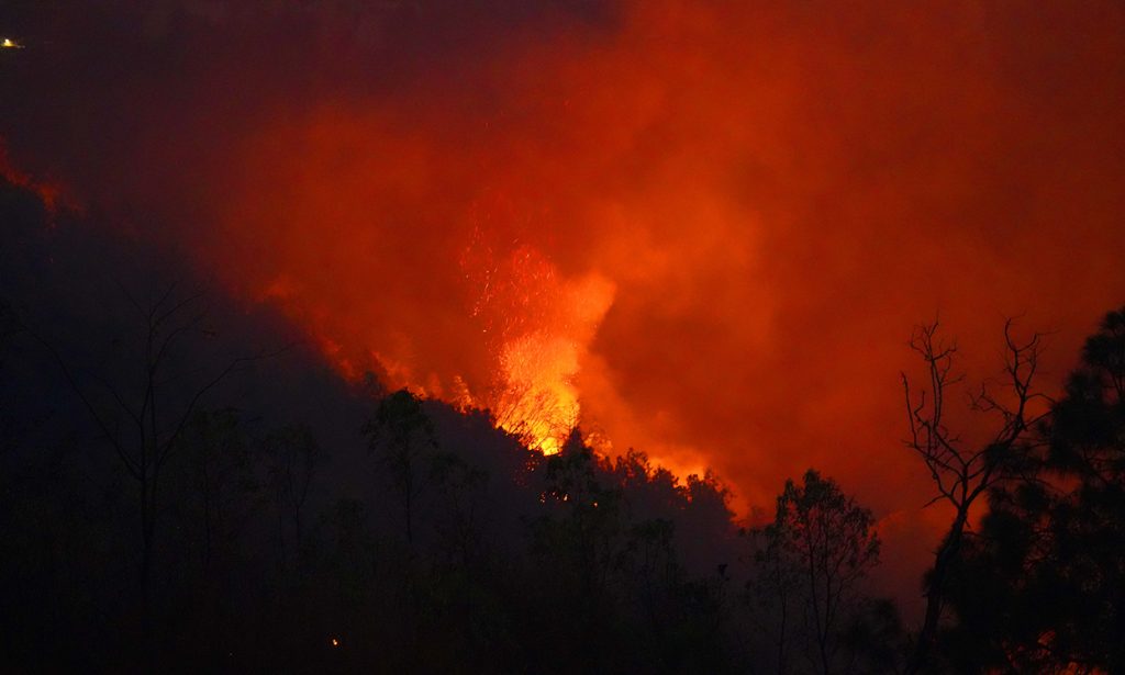 सामुदायिक वनमा लागेको आगो निभाउन कठिन, जोखिममा भेडीगोठ