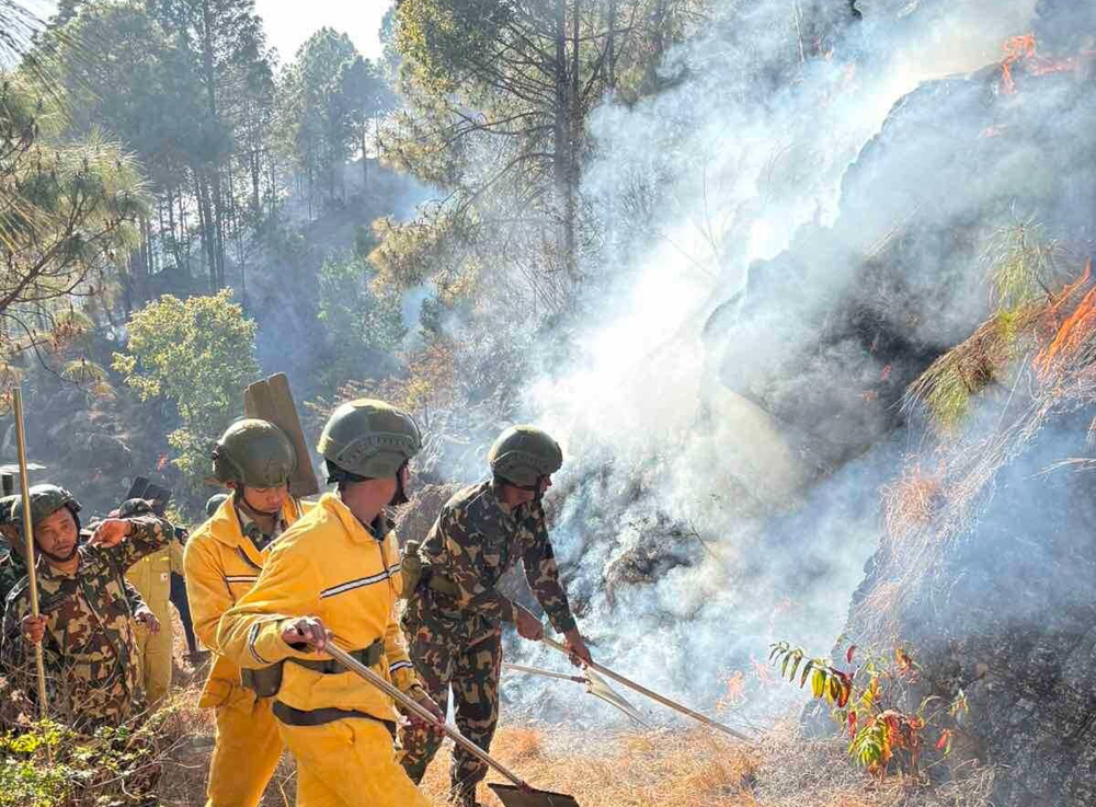 पाल्पाको जंगलमा डढेलो