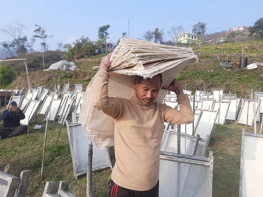 कागज उद्योगमा रमाउँदै पासाङ