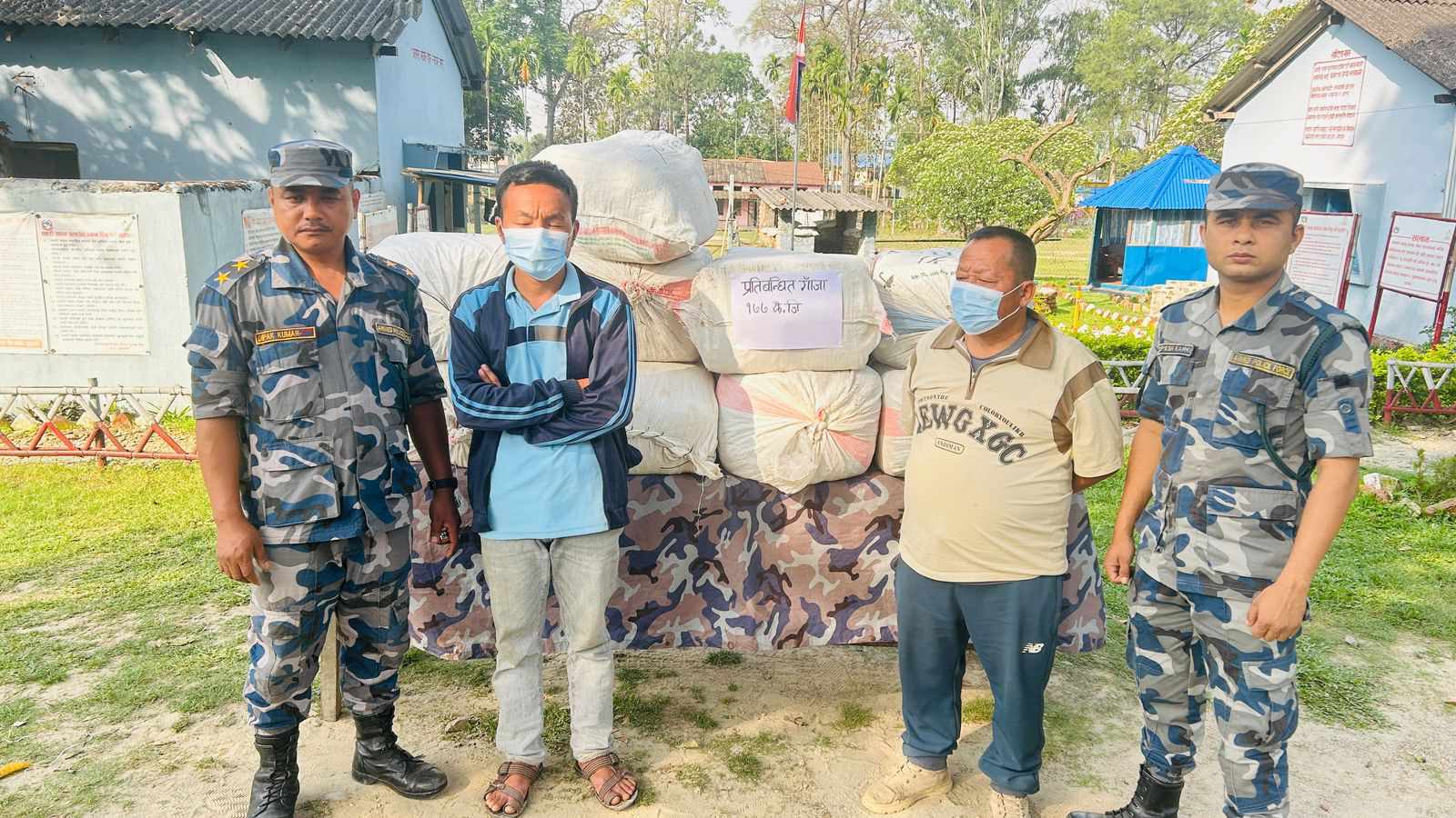 १७७ किलो गाँजासहित दुई जना पक्राउ