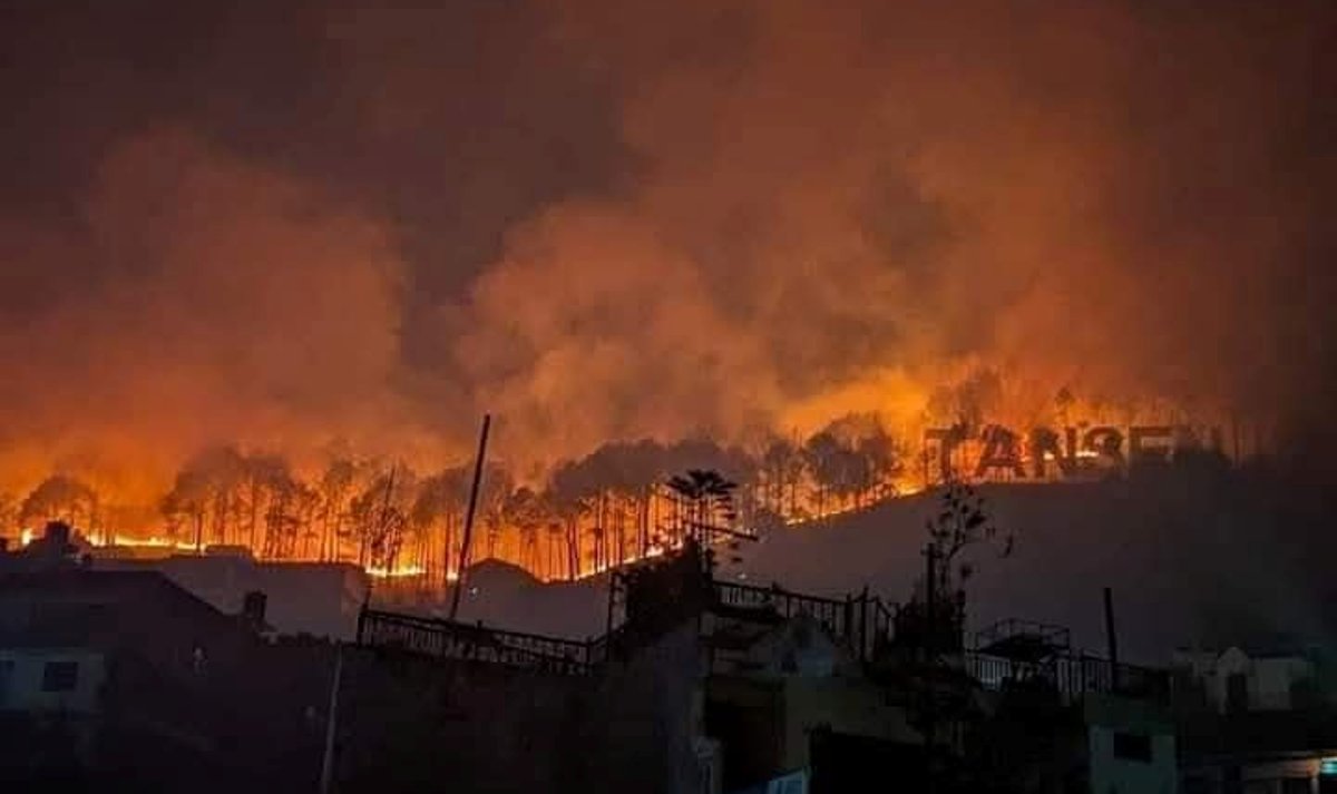 तानसेनको श्रीनगर वनमा डढेलो