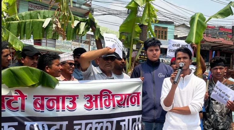 सडक निर्माणका लागि दबाब दिन सडकमै रोपियो केरा